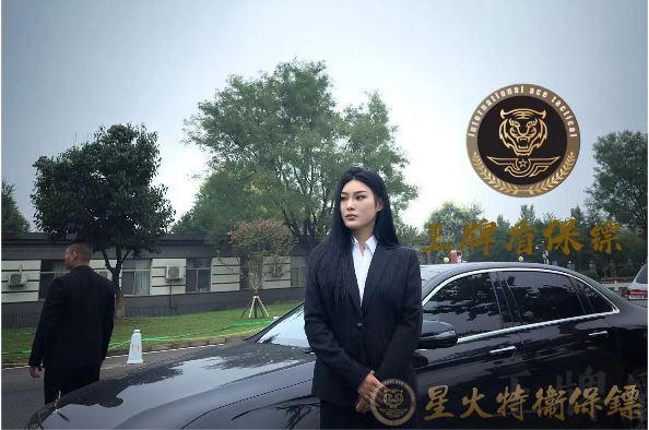 私人保镖371.png