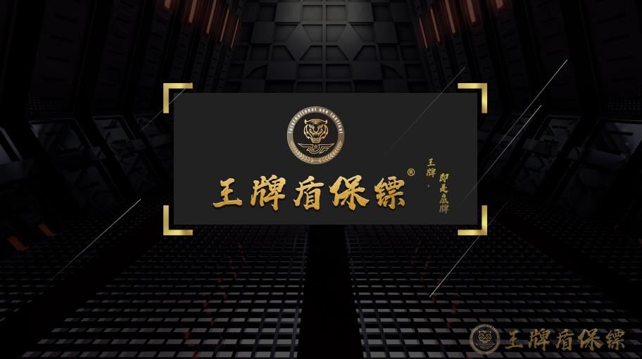 揭秘北京正规保镖公司：安全保障从这里开始